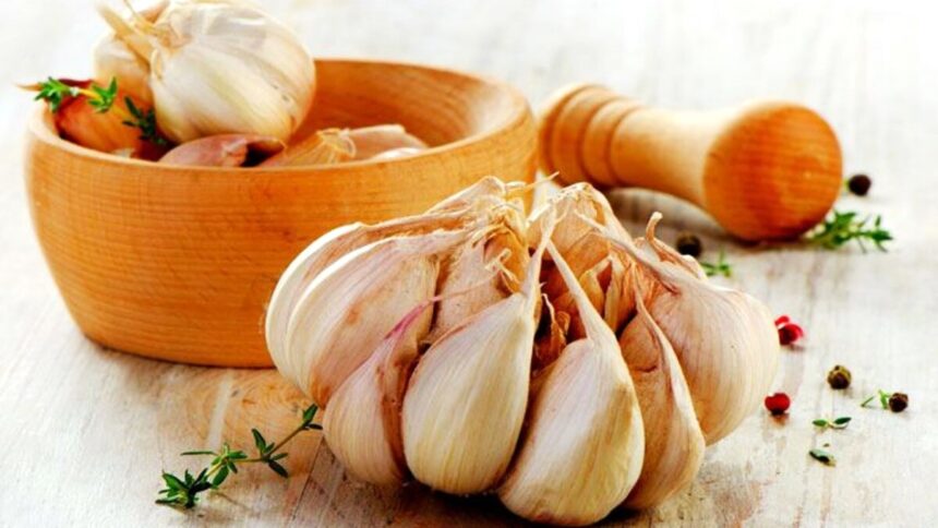 Garlic Day