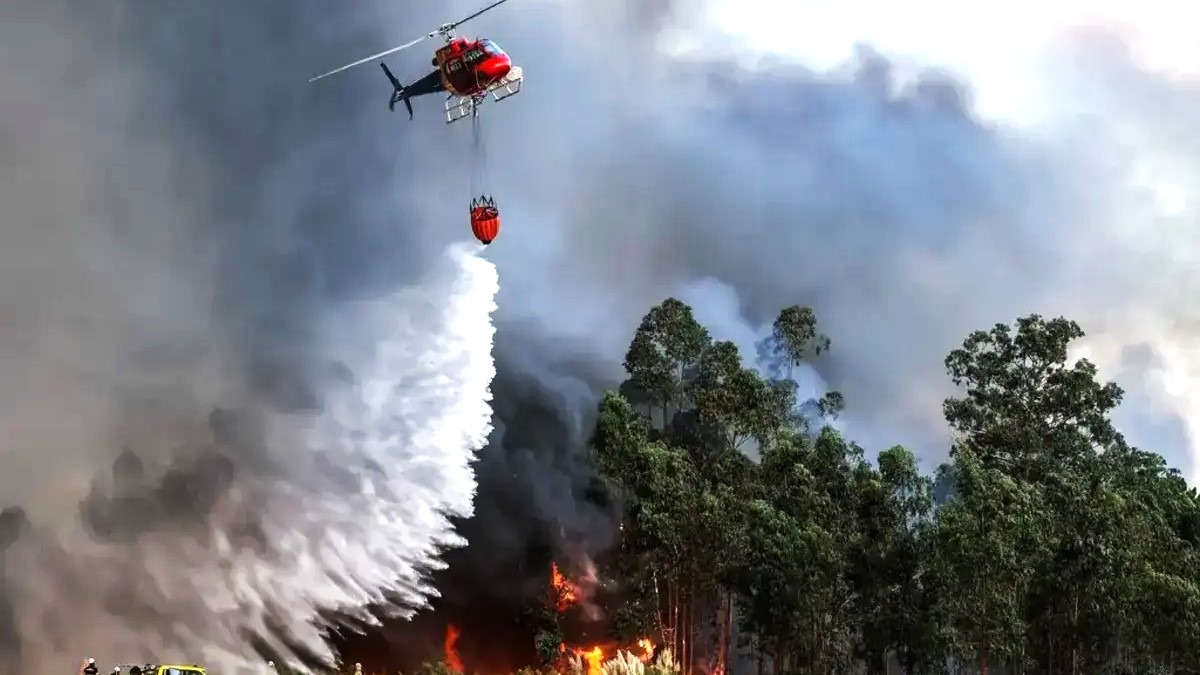 Portugal Wildfires 2024: Latest Updates, Impact, and EU Assistance