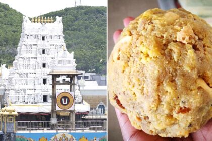 Tirupati Temple Animal Fat in Ghee