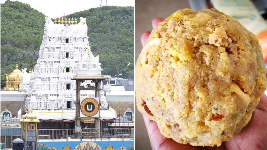 Tirupati Temple Animal Fat in Ghee