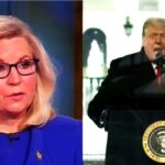 Liz Cheney