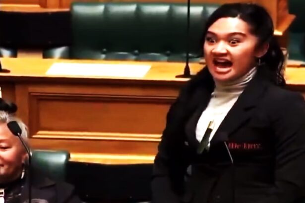 Māori Lawmakers New Zealand